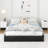 Bret Platform Storage Bed with 3 Drawers – No Box Spring, Easy Assembly-1892359271-1893054889