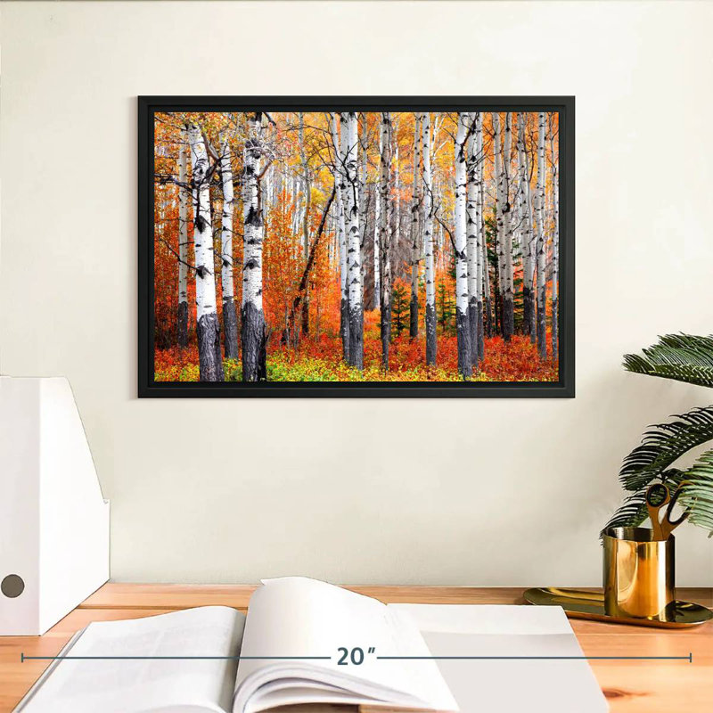 Forêt de trembles de Banff, Cadre flottant noir, 13 po x 9 po