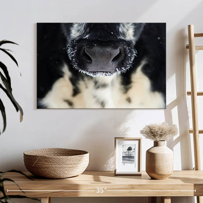 Brampt Cow Nose, 30" H x 45" W