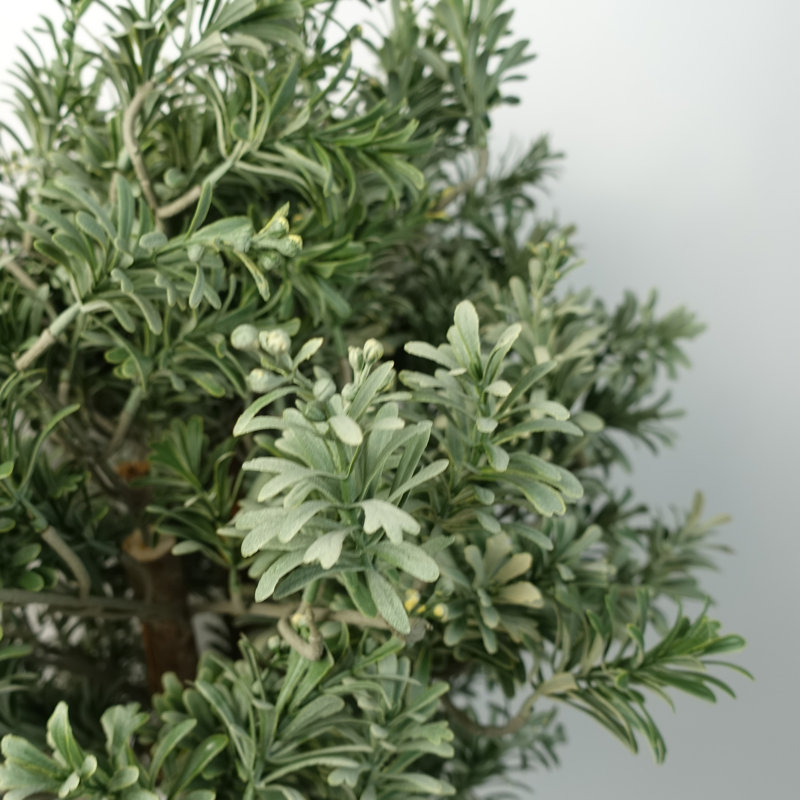 Anlin 70cm Faux Topiary Tree in Pot