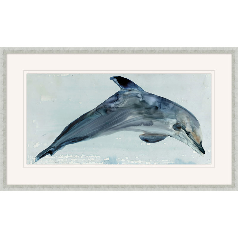 Playful " Playful Dolphin 1 "