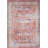 Oriental Indoor Rug-796738321