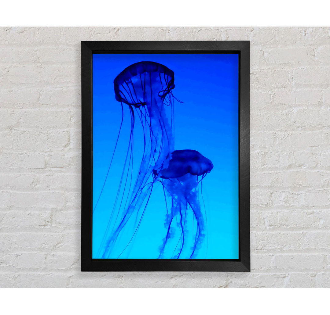 Gerahmtes Leinwandbild Jellyfish Duo