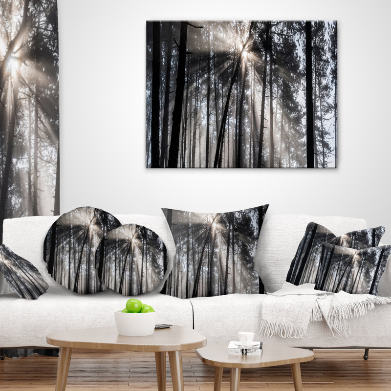 Coussin décoratif imprimé de rayons de soleil à travers la forêt blanche noire, 18 po x 18 po