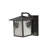 Rustic Lodge Solid Brass Armed Sconce