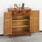 12 Pair Shoe Storage Cabinet-100646395