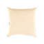 Pure Silk Throw Square Pillow Cover & Insert