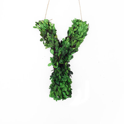 Abarca Preserved Boxwood 8'' Wreath