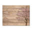 Bloom, arbre d'acacia Horizon I - paysage moderne, impression sur bois brun sur bois de pin naturel-531125895