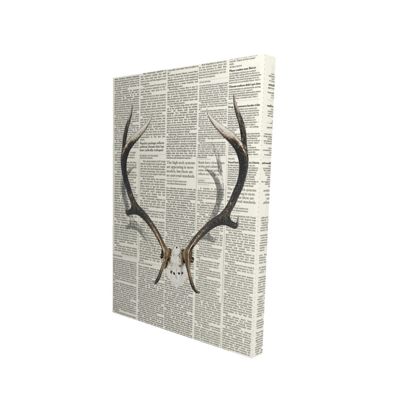 Toile cerf blanc | Cornes de cerf avec décor de journal