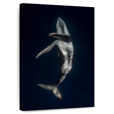 Brampt Dancing Humpback Whale