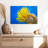 Brampt Yellow Feather Starfish-107847533