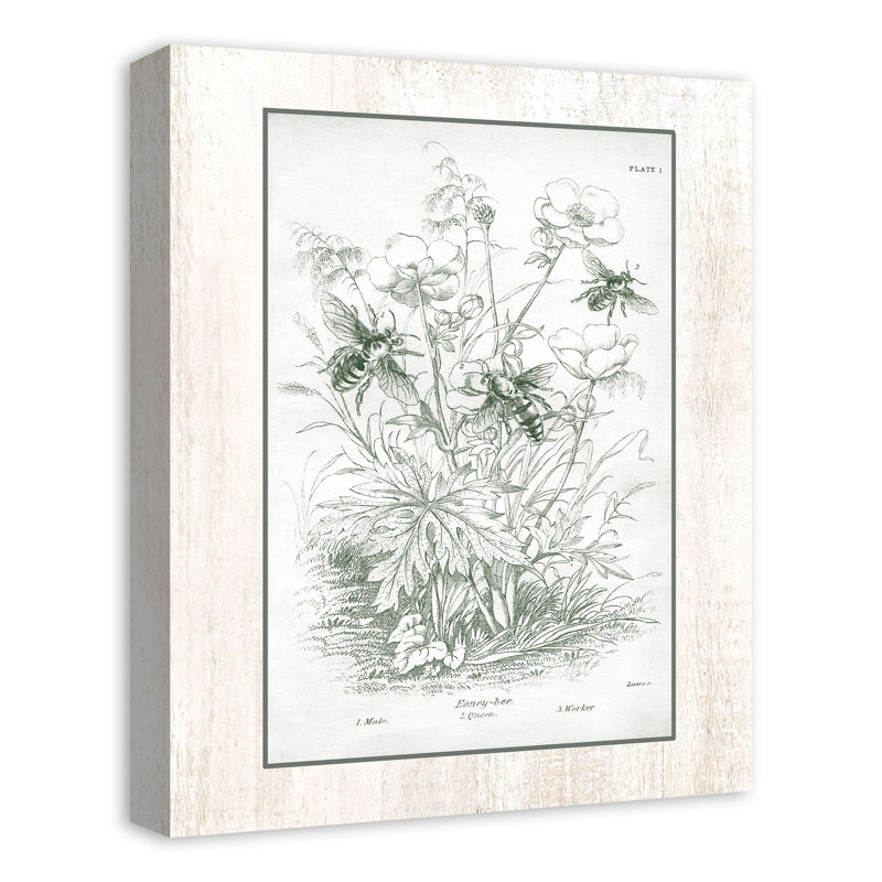 Honey Bees - Schéma rétro - peinture sur toile tendue