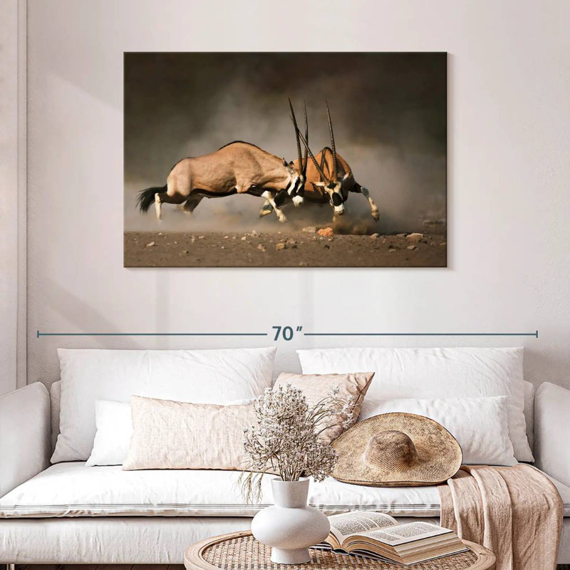 Brampt Dueling Gemsboks, 30" H x 45" W