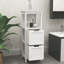 Armoire de rangement pour salle de bain avec 2 tiroirs et 1 tablette de rangement, armoire de rangement autoportante en bois