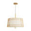 Sea Island 4 - Light Chandelier