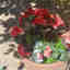 Customer photo 2 of 4