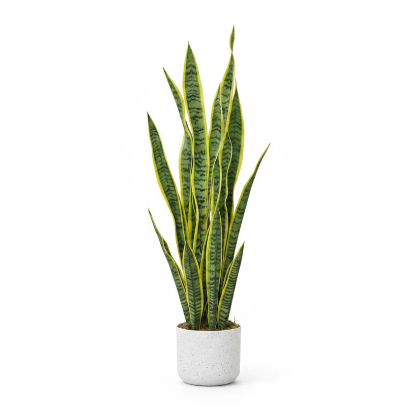 Faux olivier en pot