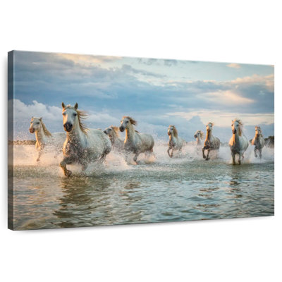 Brampt, cheval de Camargue blanc qui court dans l'océan VII
