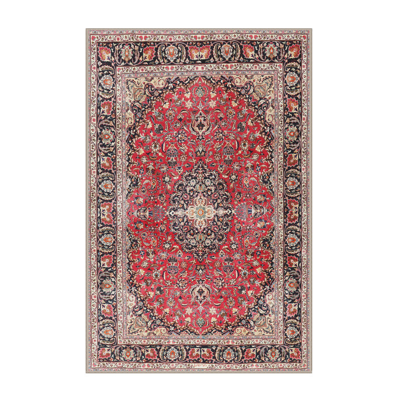 Tapis traditionnel brun clair/rouge/noir, Rectangle 4 pi x 6 pi