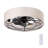 19.6'' Ceiling Fan With Light Kit And Remote Control Included