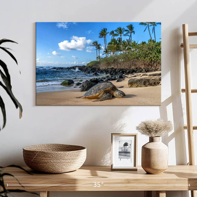 Tortue de mer Brampt Oahu Island, H 16 po x l 24 po