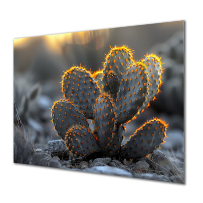 Cactus lumineux jaune et gris - Cactus floral
