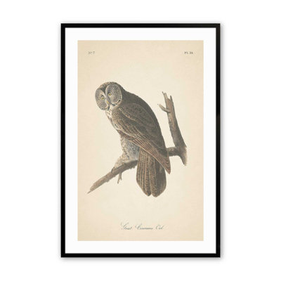 Impression d'un hibou perché dans un