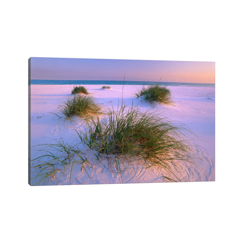 Sea Oats Growing on Beach, Santa Rosa Island, Gulf Islands National Seashore, Florida 1 Piece Wrapped Canvas Wall Art