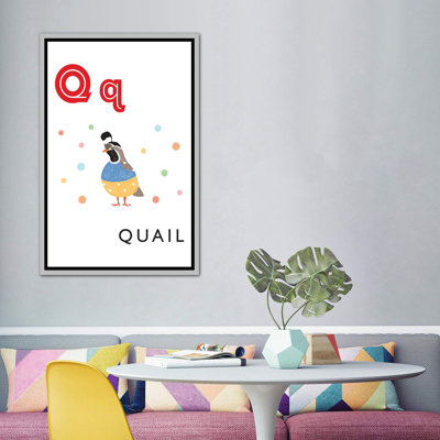 " Alphabet Flash Cards Q "