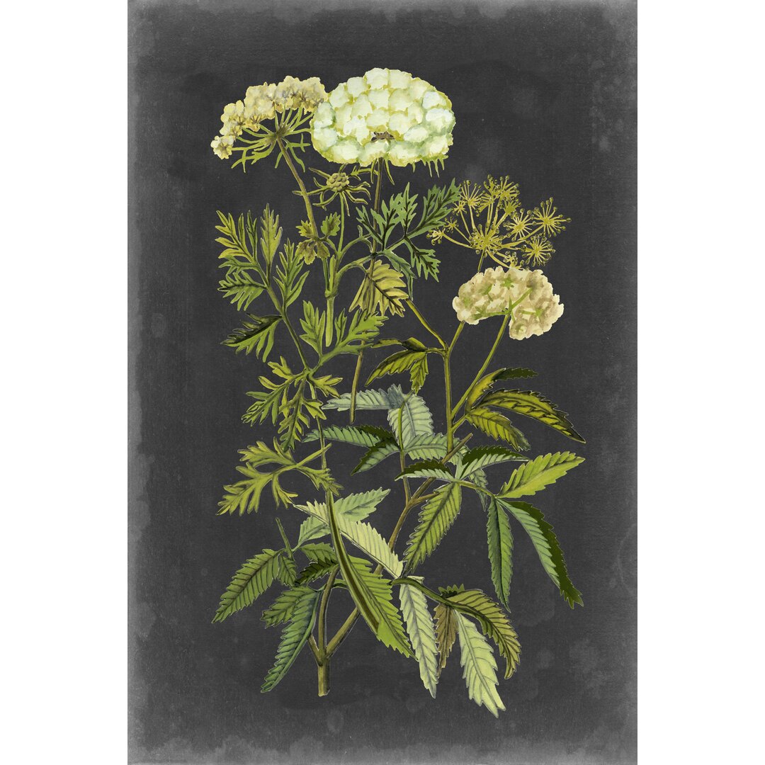 Leinwandbild Bookplate Floral I von Naomi McCavitt