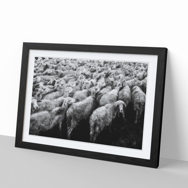Flock of Sheep Vol.1 - Framed Print, 36cm H x 48cm W x 2cm D, Black Framed