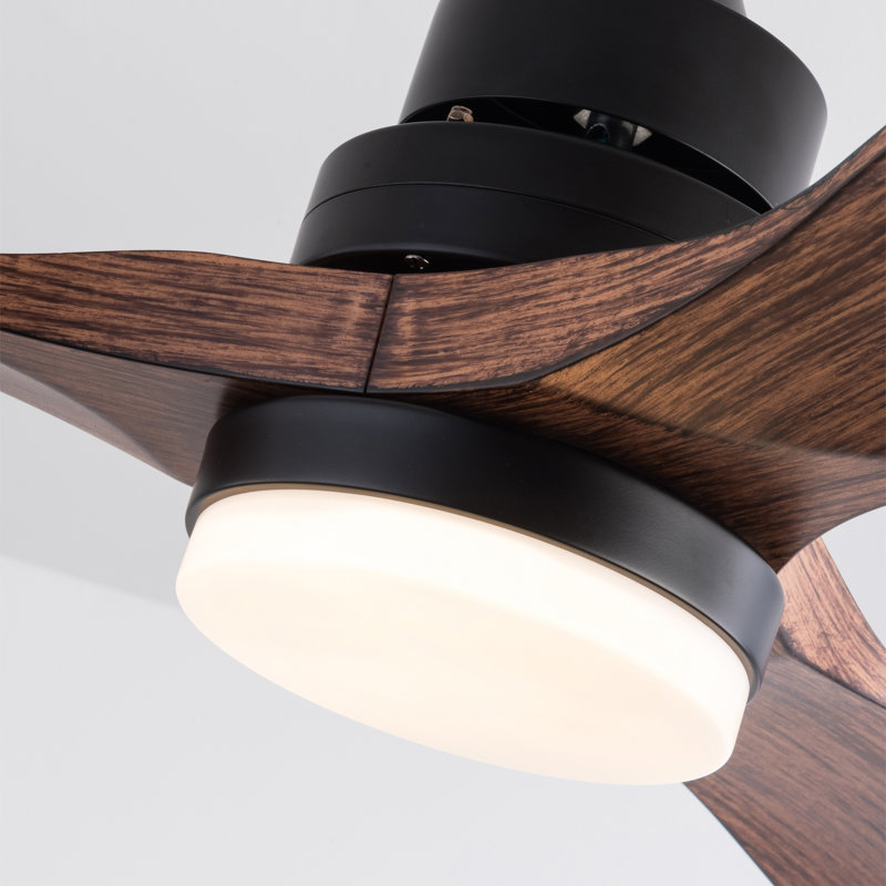 Ventilateurs de plafond Hot 42 pouces avec lumières et télécommande, Noir