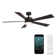 Wynd 5 - Blade Outdoor /Indoor Smart Ceiling Fan with Remote Control and LED Light Kit Included, Works With Alexa and iOS or Android App