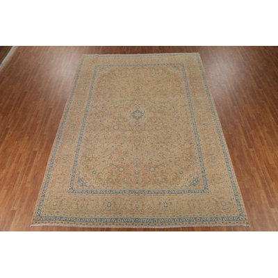 Traditional Area Rug 10x13