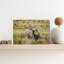 Playful Baby Elephants Energetic Playful Contemporary Elephant Zebra Landscape Nature Wall Art Print by Jeffrey C. Sink - 1 Piece Wrapped Canvas Wall Art-1593781812