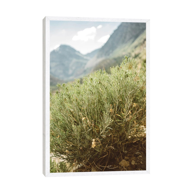 Yosemite National Park IV by Bethany Young - Print on Canvas, 101.6cm H x 66.04cm W x 3.81cm D, White Framed