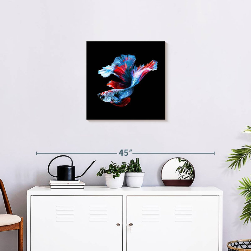 Brampt Elegant Betta Fish, 20" H x 20" W
