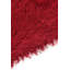 Tapis rouge Orpheus