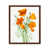 Brown Framed