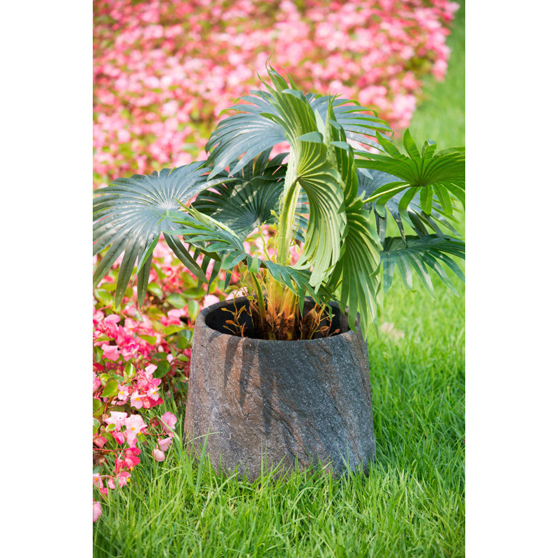Jardinière en ciment, grand décor intérieur / extérieur pour jardin, H 11,8 po x l 7,5 po x P 7,5 po