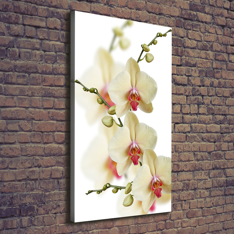 Orchid - Wrapped Canvas Print