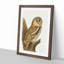 Tawny Owl by Von Wright - Picture Frame Art Print-55640408-55640409