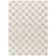 Molly Checkered Machine Woven Polypropylene Area Rug in Cream/Light Beige