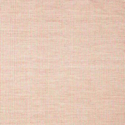 Indoor Rug