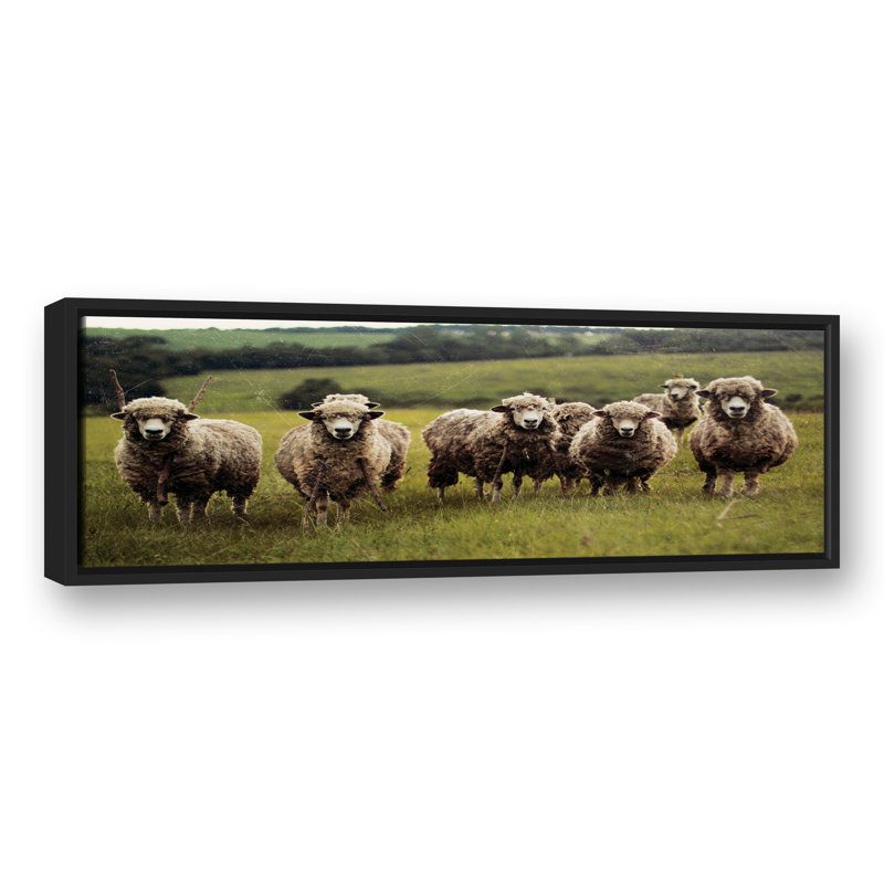 «Sheep with Sticks», reproduction sur toile, H 13,75 po x l 37,75 po x P 1,75 po