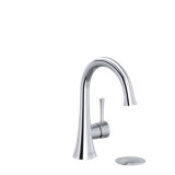Edge™ Single Hole Bathroom Faucet with Drain Assembly