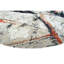 Abstract Area Rug in Multicolor