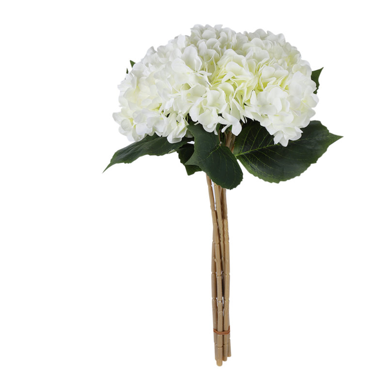 Laidley Hydrangea Arrangement, Beige