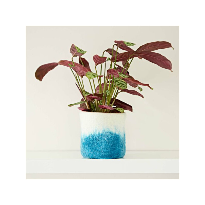 Plant Stand, Turquoise